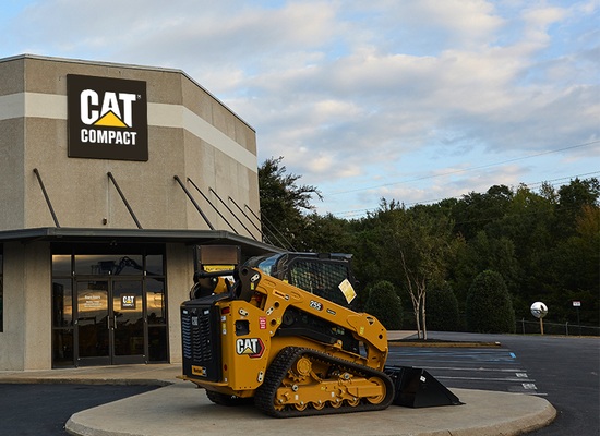 Cat Compact